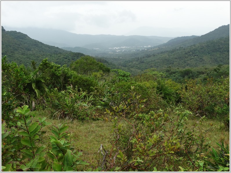 2013-12-08 14-04-26北望滿州永靖村.JPG